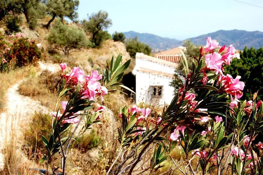 Casa Canillas - For Solo Travelers Or Small Groups Of 4 To 6 People Canillas de Aceituno Spain